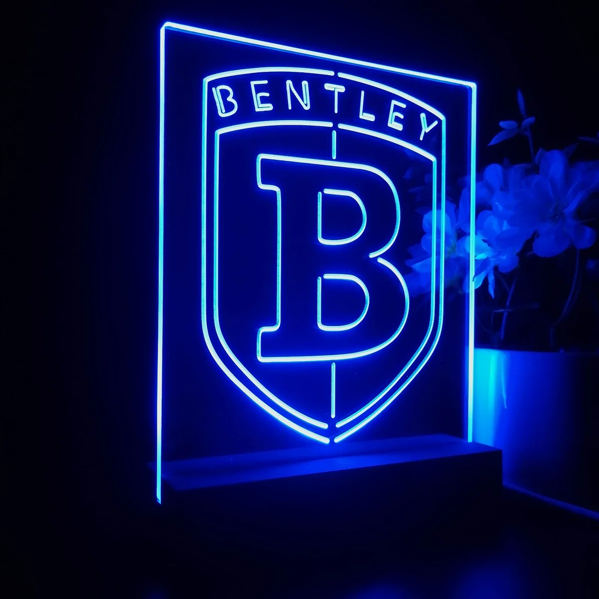Bentley LED Desk Light