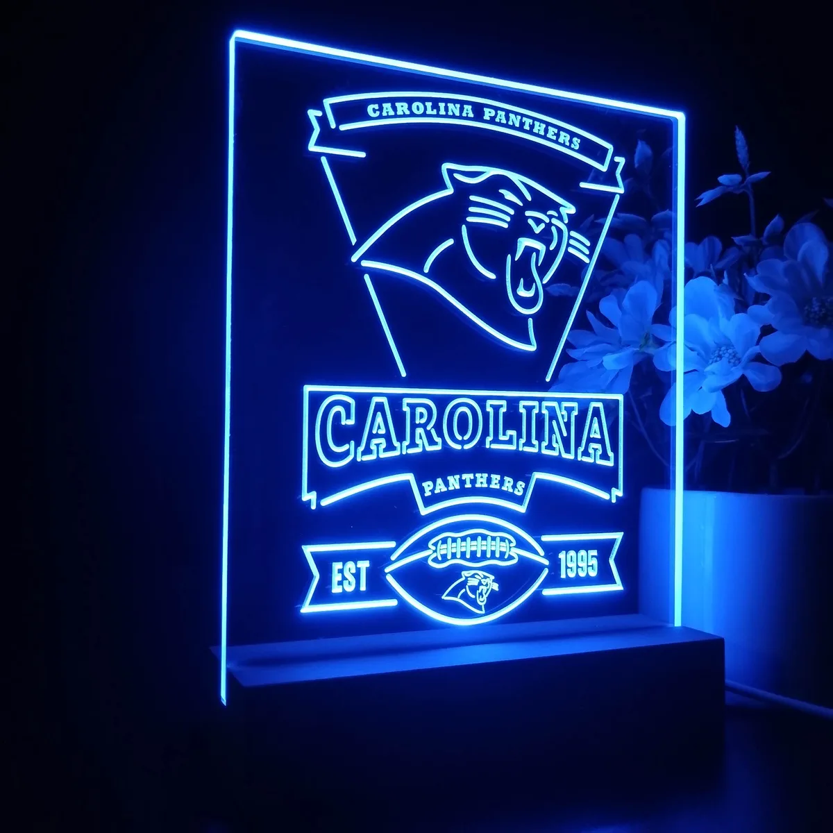 Carolina Panthers EST 1995 LED Desk Light
