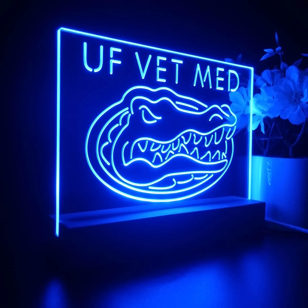 Florida Gators VET MED LED Desk Light