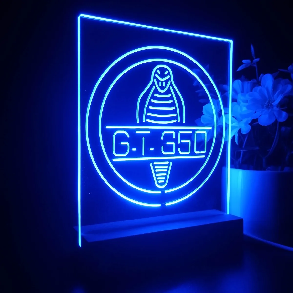Ford Shelby GT350 LED Desk Light