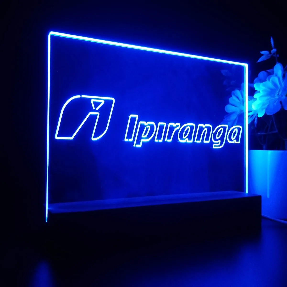 Ipiranga LED Desk Light
