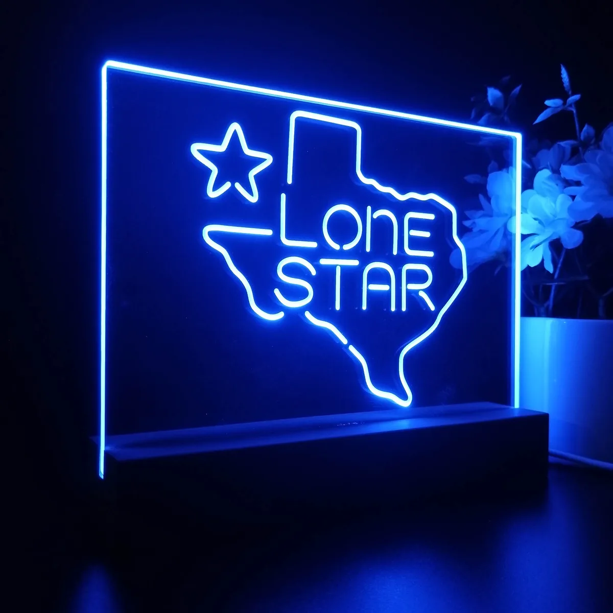 Lone Star Texas LED Desk Light