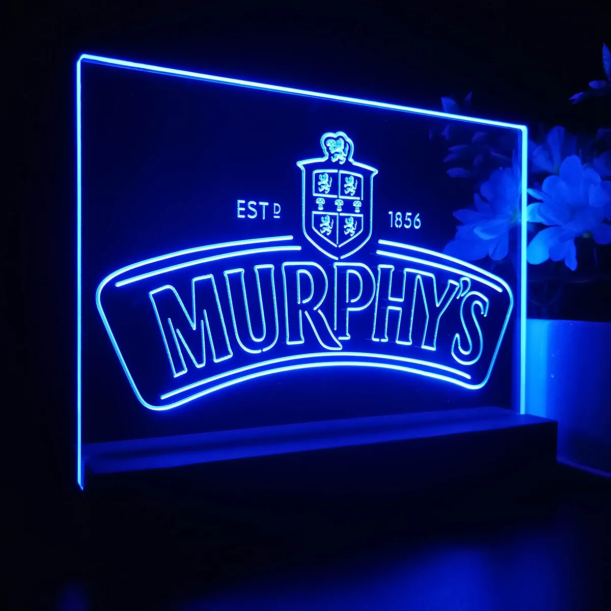 Murphys LED Desk Light