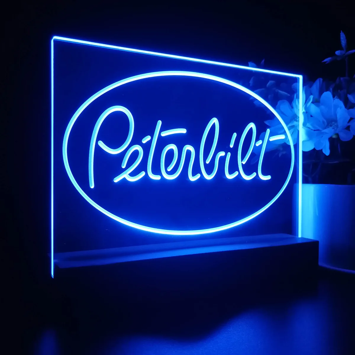 Peterbilt 2 LED Desk Light
