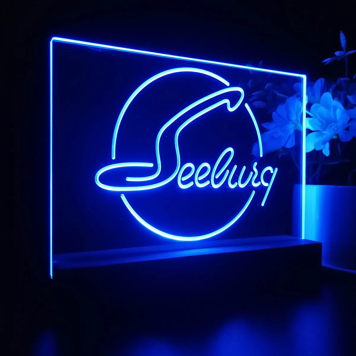 Seeburg LED Desk Light