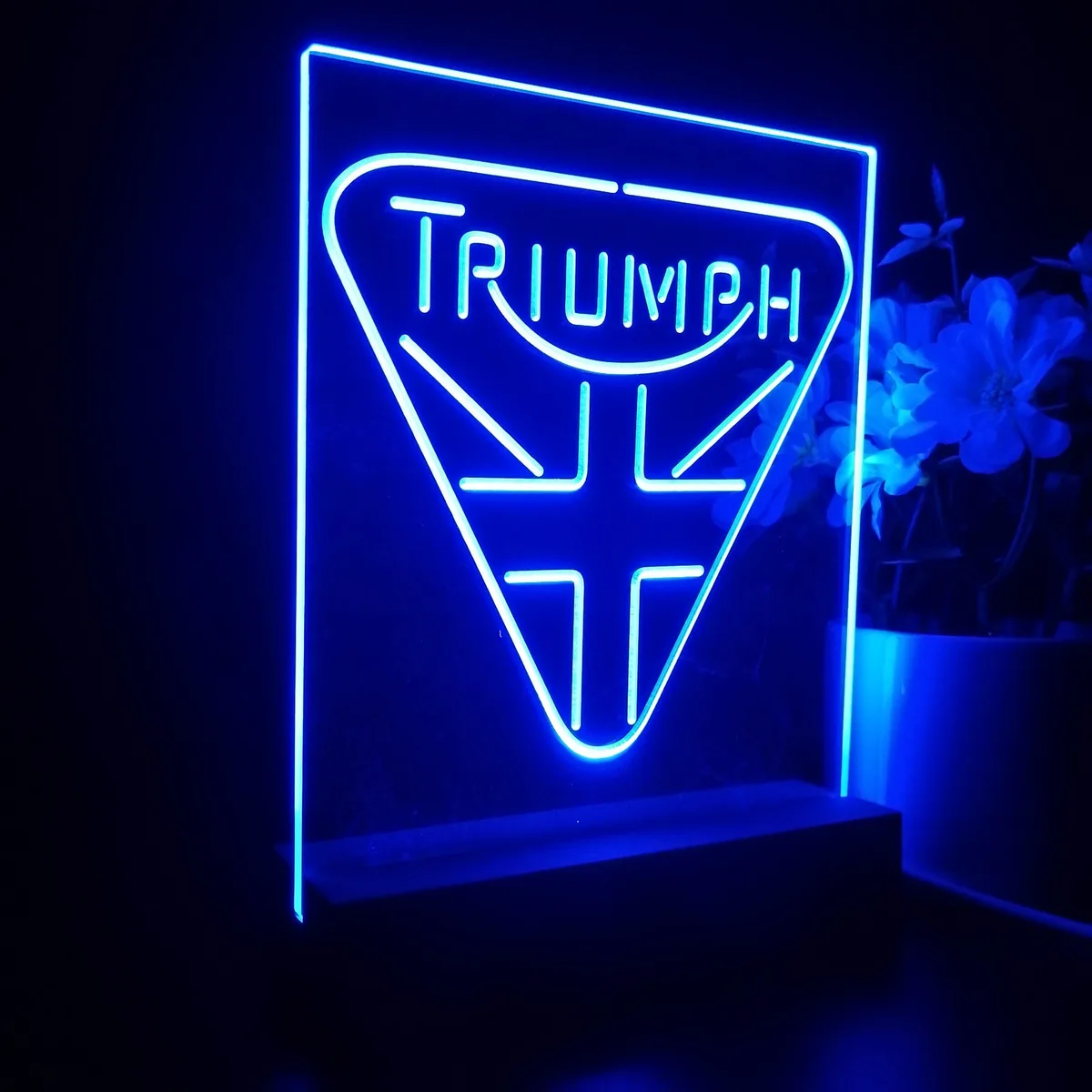 Triumph England LED Desk Light