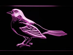 Baltimore Orioles 1999-2008 Oriole LED Neon Sign - Legacy Edition