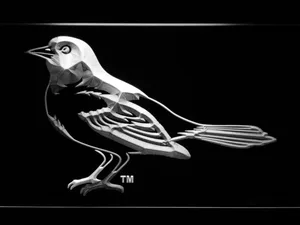 Baltimore Orioles 1999-2008 Oriole LED Neon Sign - Legacy Edition