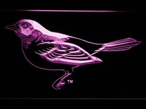 Baltimore Orioles 5 LED Neon Sign