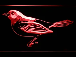 Baltimore Orioles 5 LED Neon Sign