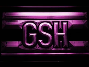 Chicago Bears George S. Halas Memorial LED Neon Sign