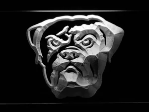 Cleveland Browns Dawg Pound LED Neon Sign - Legacy Edition