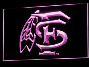 Florida State Seminoles LED Neon Sign