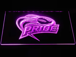 Northern Pride LED Neon Sign