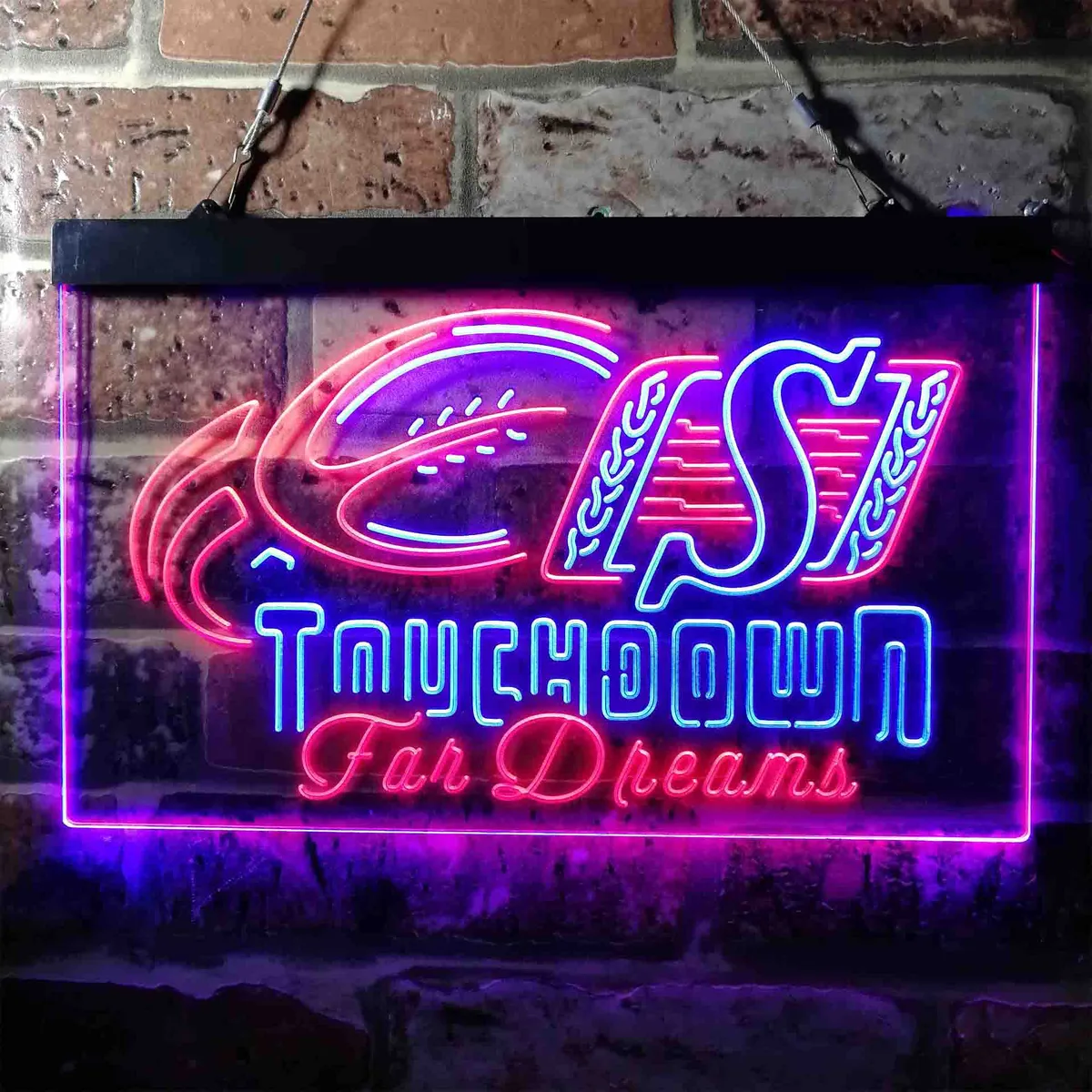 Saskatchewan Roughriders Touchdown for Dreams Neon-Like LED Sign