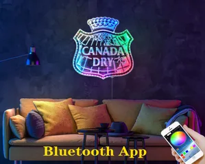 Canada Dry Logo RGB LED Sign