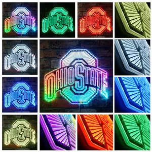 Ohio State Buckeyes Logo RGB LED Sign