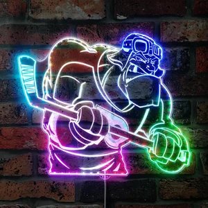 Philadelphia Flyer Bardown RGB LED Sign