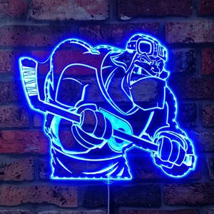 Philadelphia Flyer Bardown RGB LED Sign