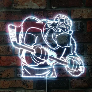 Philadelphia Flyer Bardown RGB LED Sign