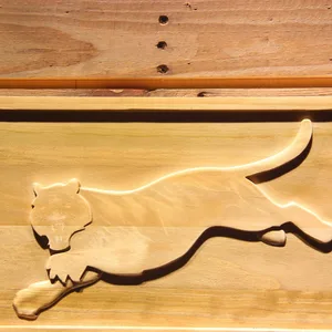 Cincinnati Bengals Tiger Wood Sign