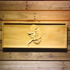 Green Bay Packers 1968-1979 Wood Sign - Legacy Edition