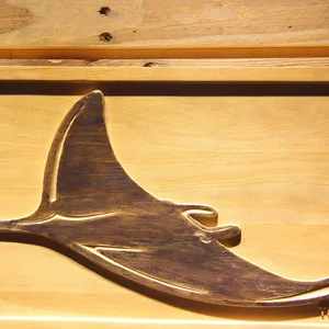 Tampa Bay Rays 1 Wood Sign